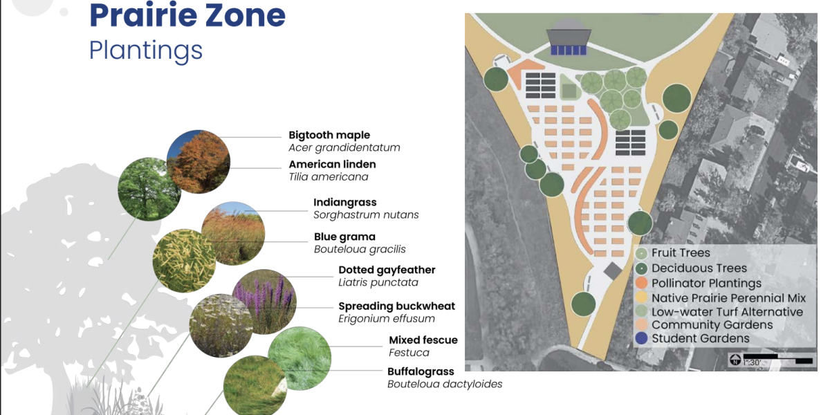 Outdoor school prairie zone.