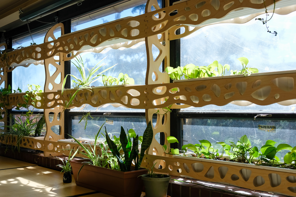 Student plant wall