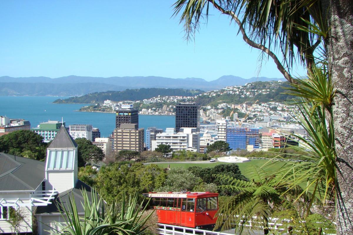 Wellington city by tony_the_bald_eagle is licensed under CC BY-ND 2.0