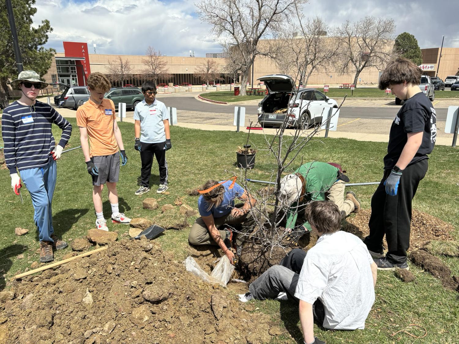Students plant trees