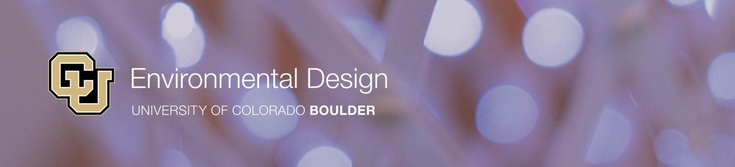 Newsletter header with purple colored orbs and lights