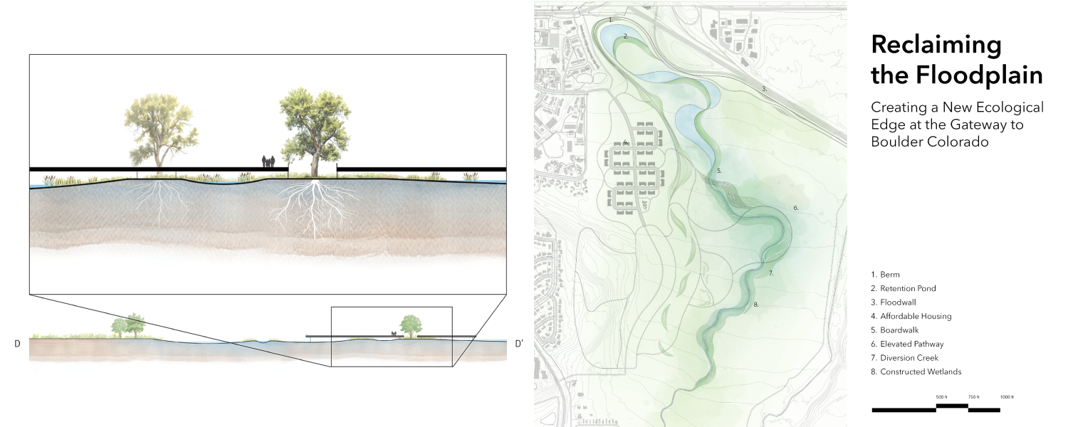 Rachel Martino, reclaiming the floodplain