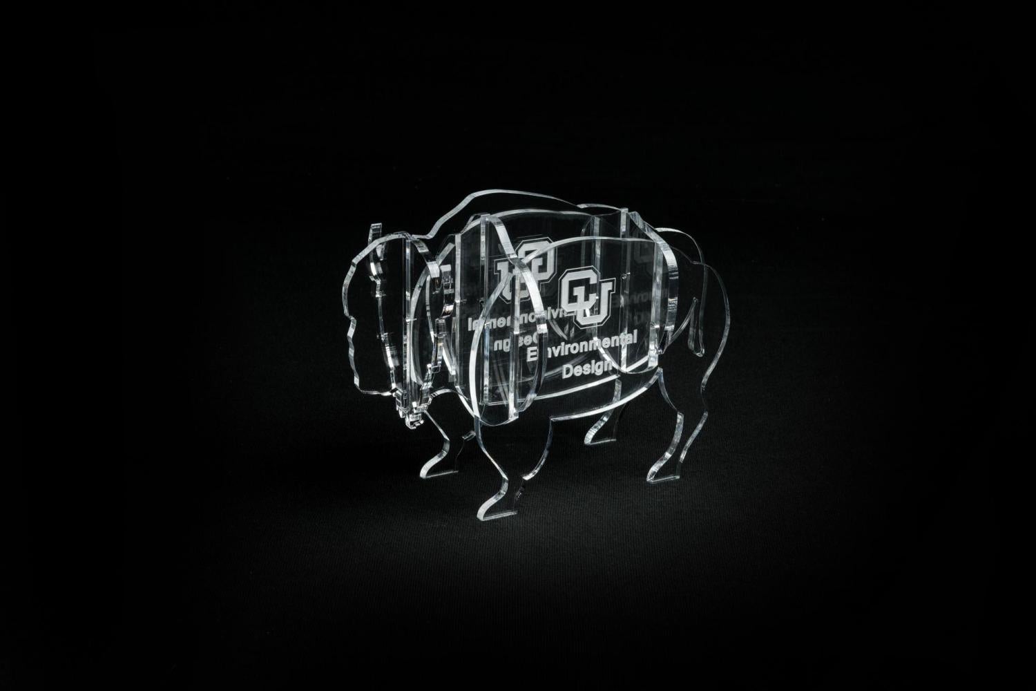 ENVD Acrylic buffalo award