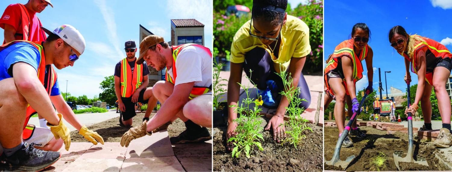 Environmental design students create pollinator garden on campus