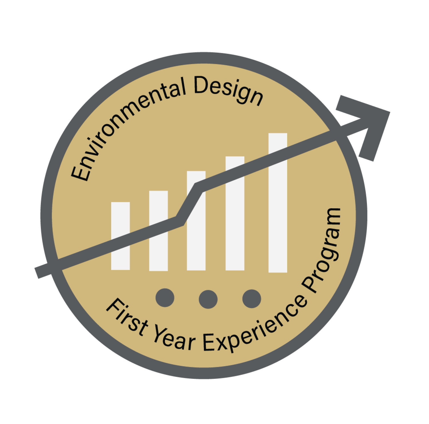 First Year Experience Program logo