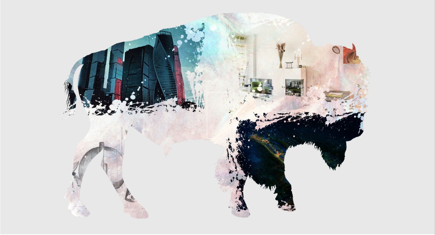 Buffalo with graphic representation of ENVD inside