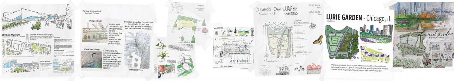 Summer session: Intro to landscape architecture