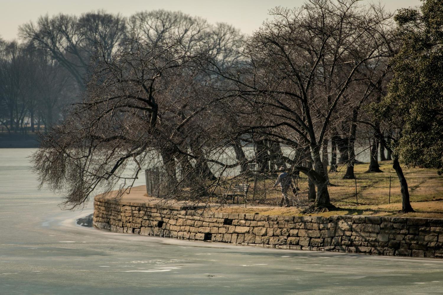 Tidal Basin photograph by Sam Kittner