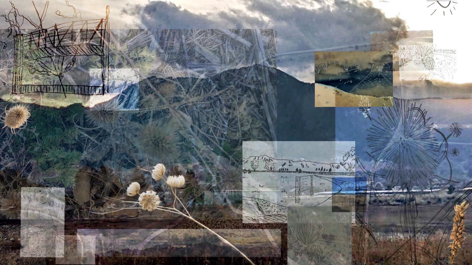 Landscape architecture collage.