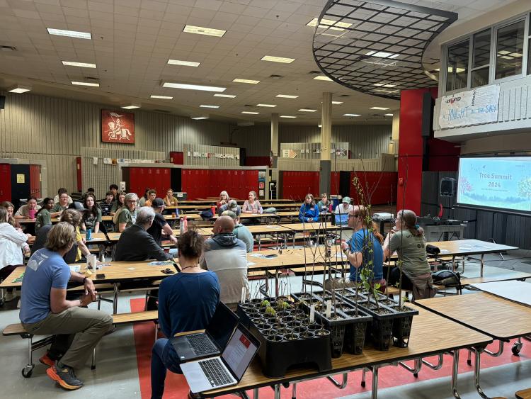 Students sit and listen to a tree presentation in a high school cafeteria