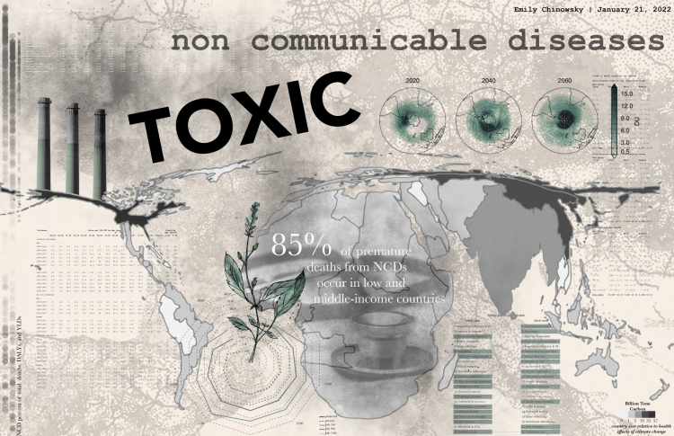 Non-communicable diseases | Emily Chinowsky