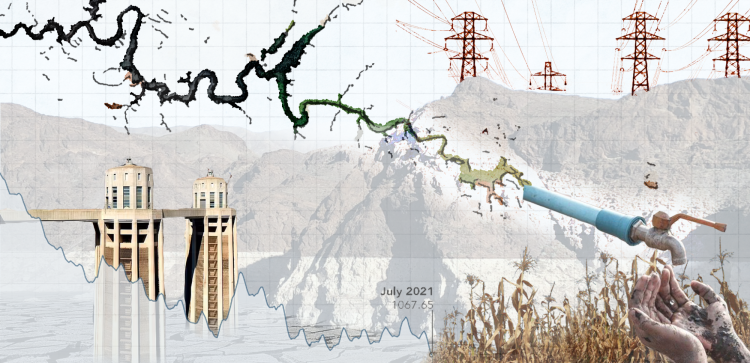 LAND 4100 research collage