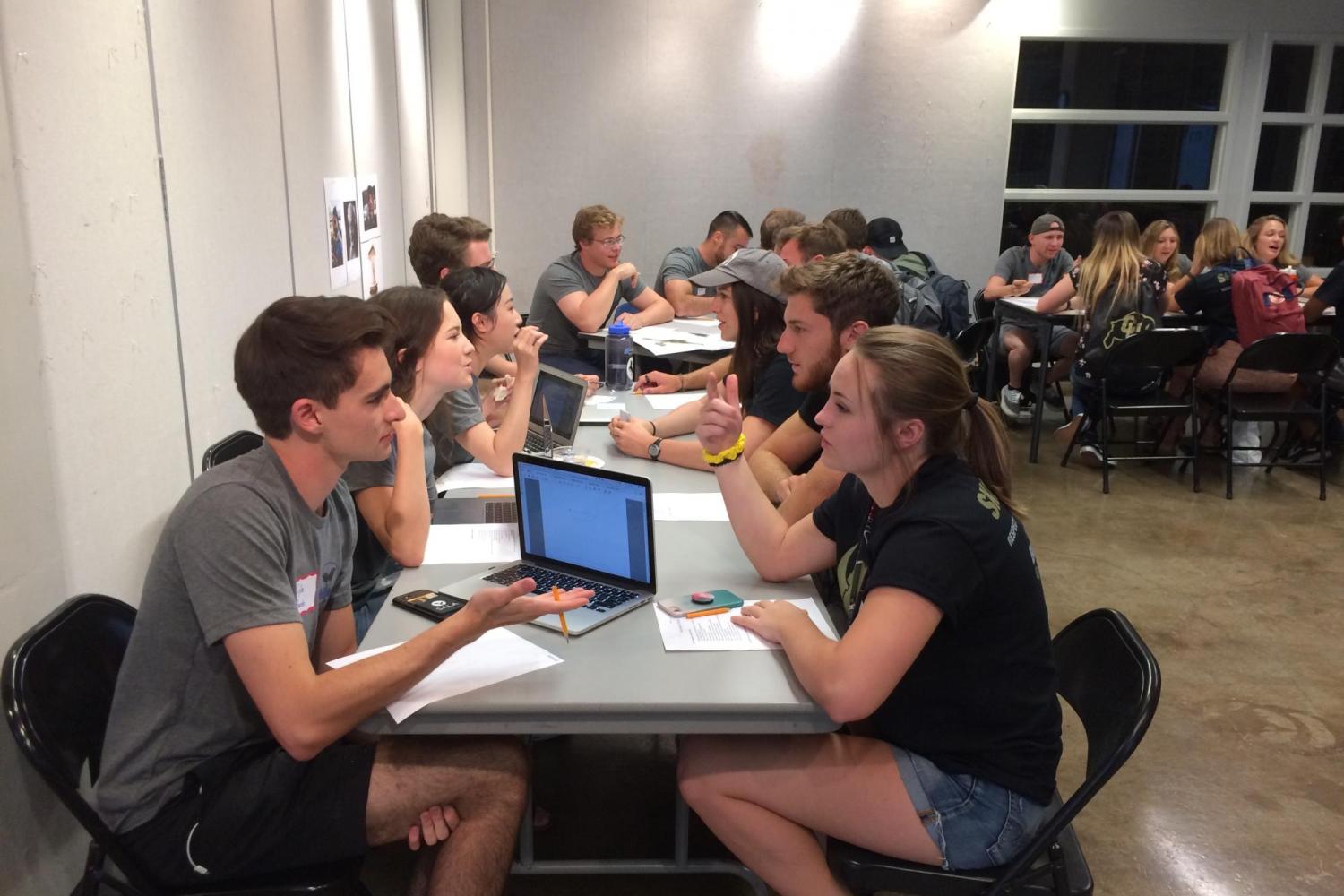 Peer mentors
