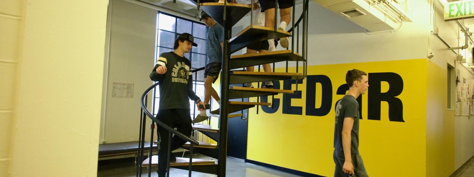 Students descend down ENVD's spiral staircase