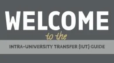 IUT Guide graphic