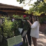 Denver Botanic Gardens Visit