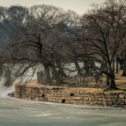 Tidal Basin photograph by Sam Kittner