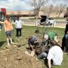 Students plant trees
