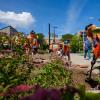 Environmental design students create pollinator garden on campus