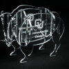 Acrylic buffalo award