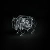 ENVD Alumni Awards acrylic buffalo