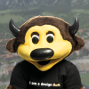 Chip the buffalo