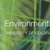 Student work and ENVD logo