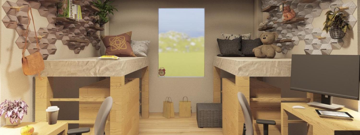 Briki: Re-Brick Your Dorm
