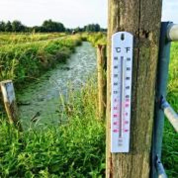 Thermometer