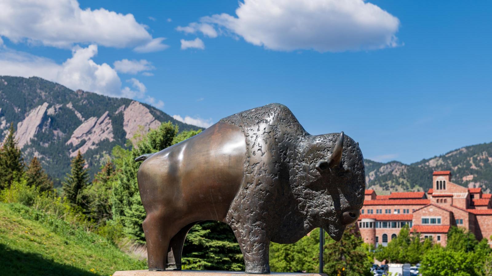 Iron bison statue with Flatirons and academic buidling in background.