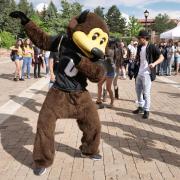 CU Mascot Ralphie poses at event
