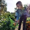 Professor Jill Litt looks at a squash at a community garden next to Regis University in Denver