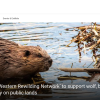 Scientists call for ‘Western Rewilding Network’ to support wolf, beaver populations, improve biodiversity on public lands