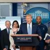 White House press briefing