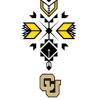 CNAIS Logo