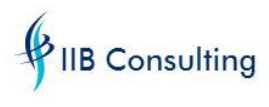 IIB Consulting