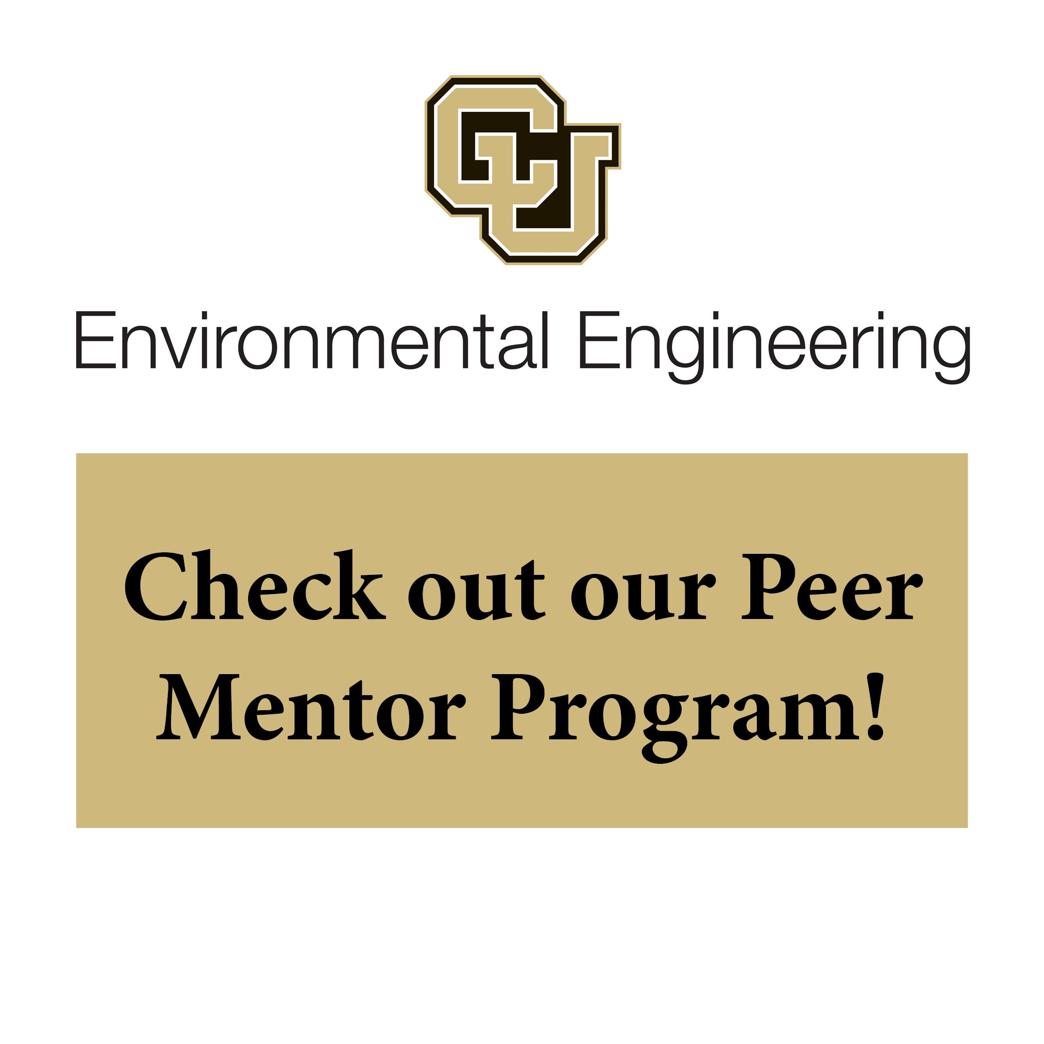 Peer Mentor Program