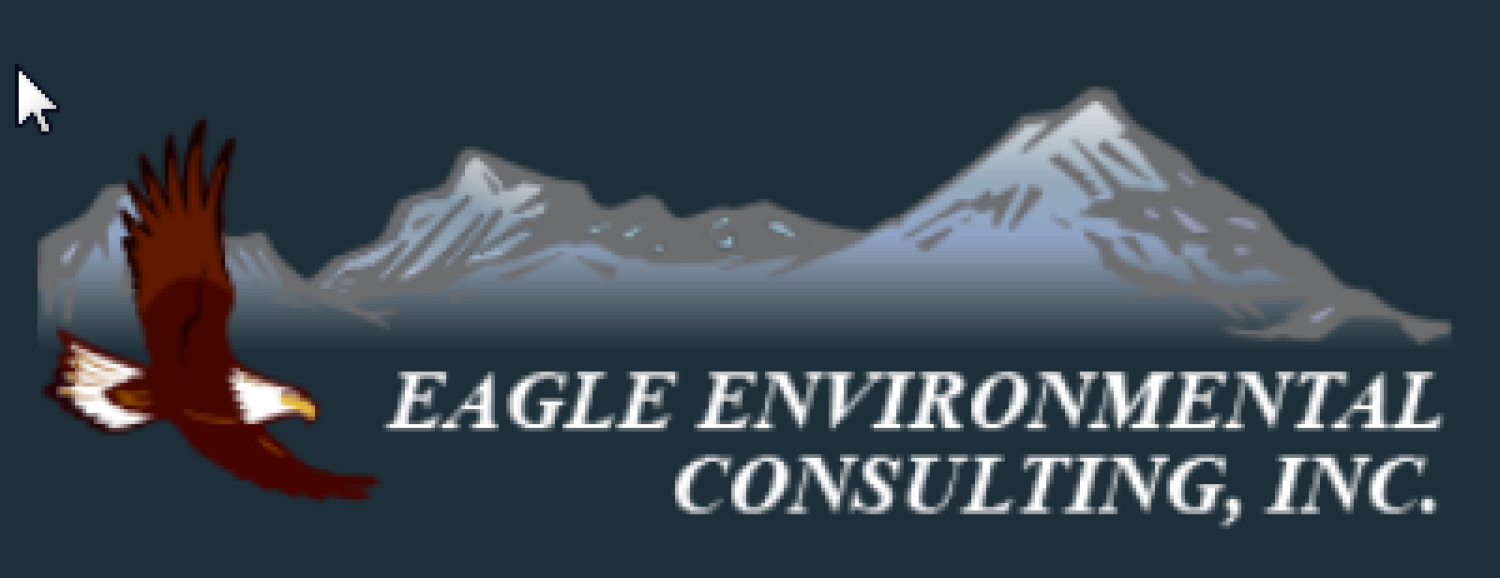 Eagle Environmental Consulting Logo