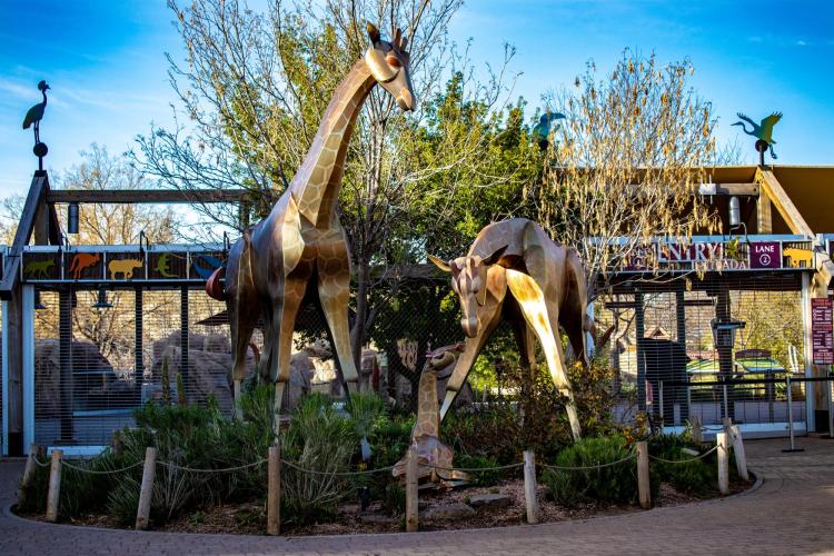 Zoo