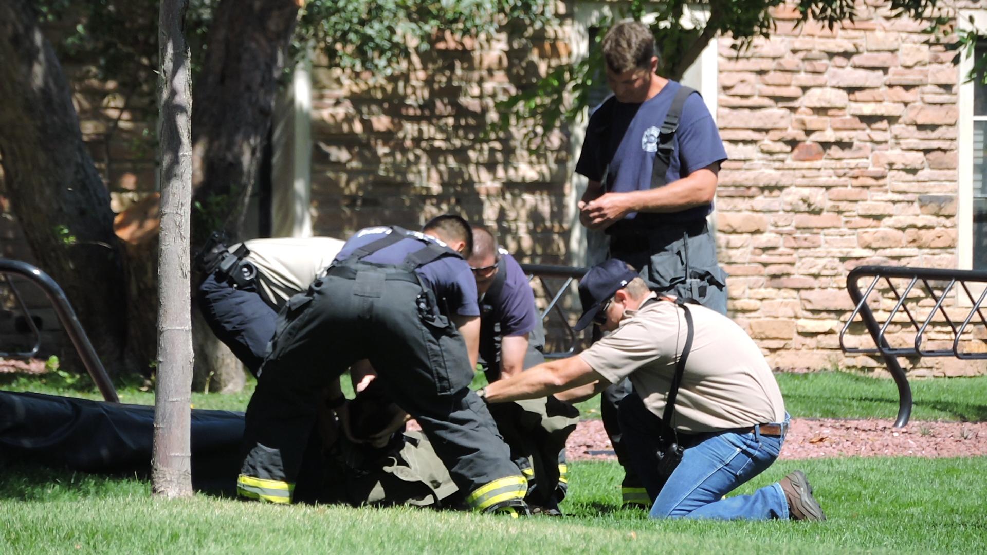 Bear at CU Boulder July 10th 2015