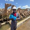 A man holding two water bottles with camels in the background.