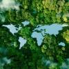 Rendering of Earth's continents as lakes in a forest