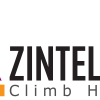 Zintellect