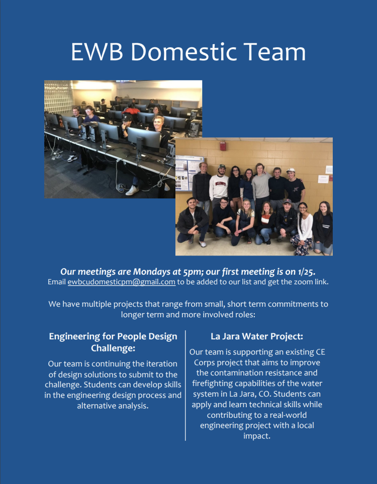 domestic team flyer