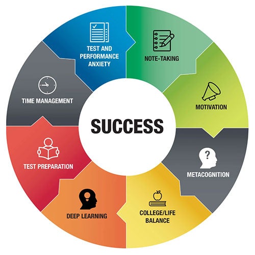 circle of success