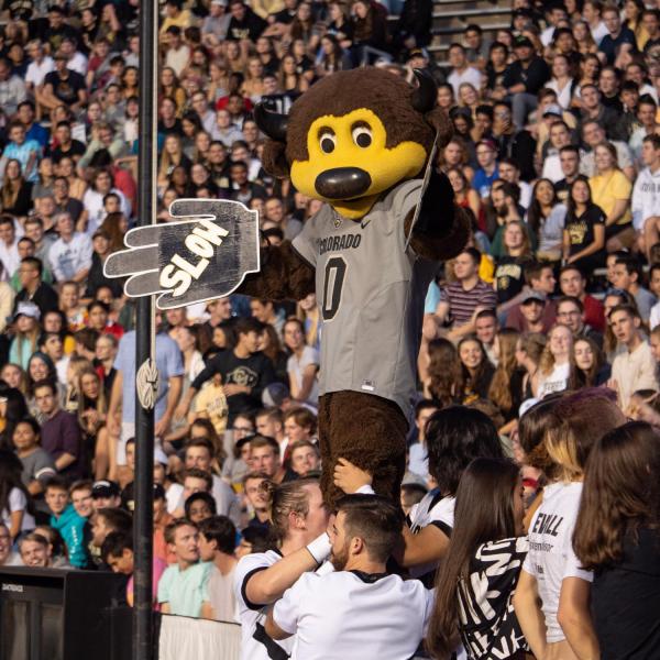 Chip helps the crowd cheer on the Colorado Buffaloes.
