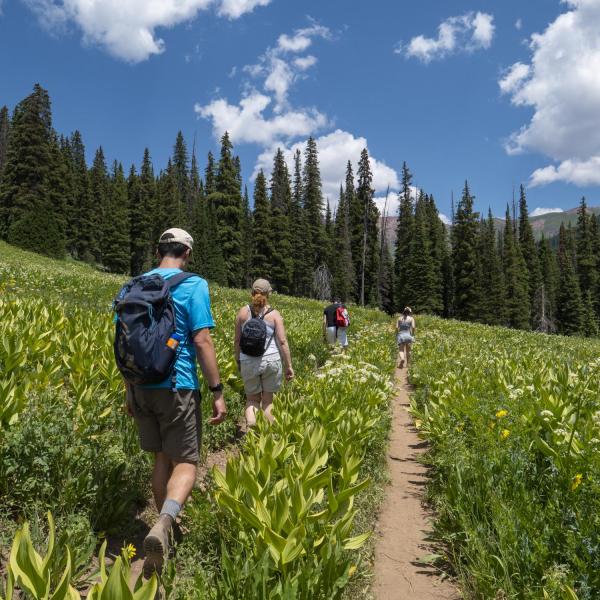 People hiking on a trail with mountains in the background
