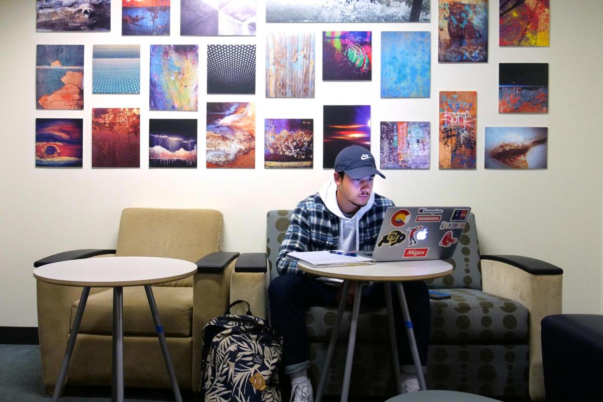 Student studying on campus