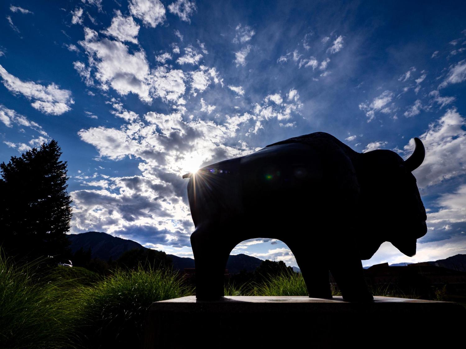 Silhouette of buffalo sculpture on campus