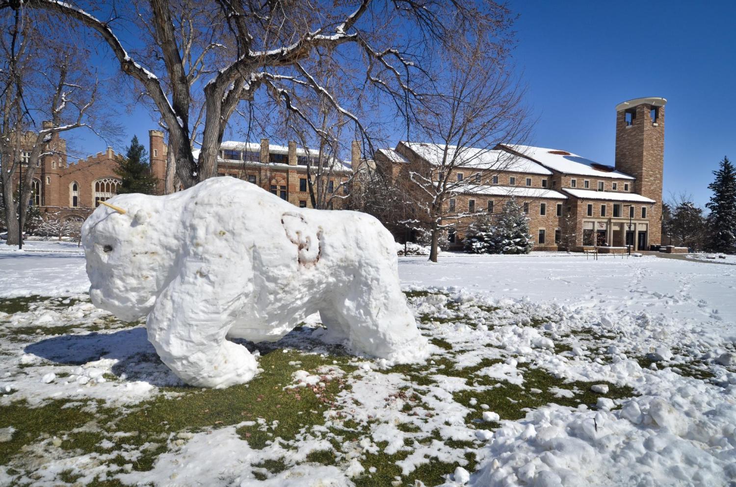 Snow buffalo sculpture on campus